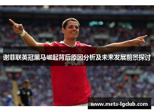 谢菲联英冠黑马崛起背后原因分析及未来发展前景探讨