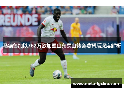 马德鲁加以762万欧加盟山东泰山转会费背后深度解析 马德鲁加以762万欧加盟山东泰山转会费背后深度解析